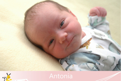 Antonia-8-8-13-3220-56