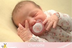 Charlotte-10-6-54-3895-57