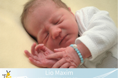 Lio-Maxim