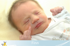 Finn-24-6-45-2820-50