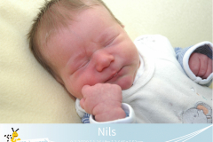 Nils-9-1-26-3645-52