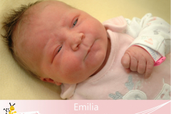 Emilia-26-6-57-4280-54