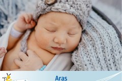 Aras