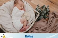 Niklas-1