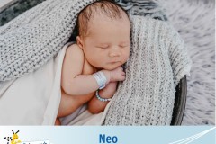 neo