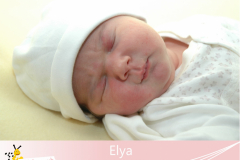 Elya-30-20-05-3800-55